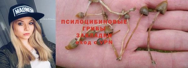 прущая мука Алзамай