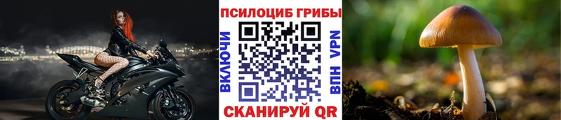 Псилоцибиновые грибы GOLDEN TEACHER  Сольвычегодск 