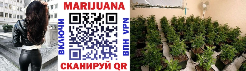 Марихуана Bruce Banner  магазин  наркотиков  Сольвычегодск 